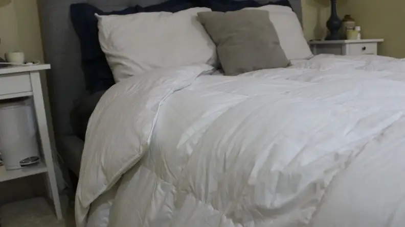 Alberta comforter