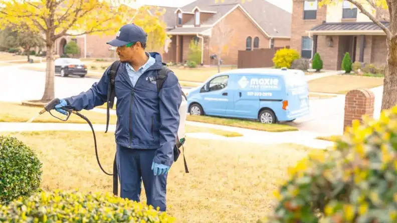 Technician spraying lawn near service van parked on street
