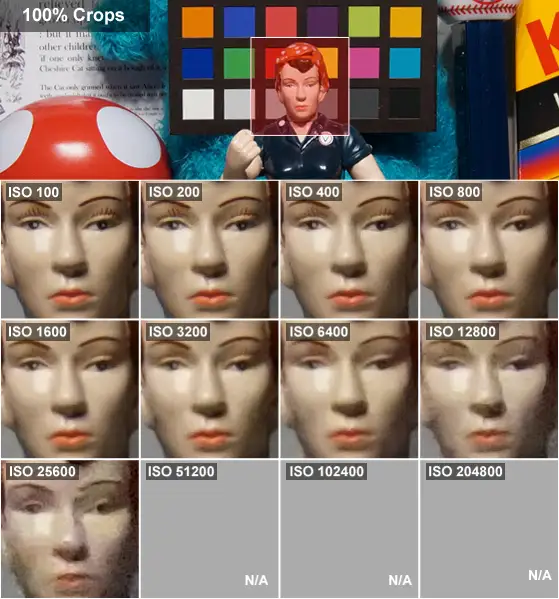 closeup of Rosie's face