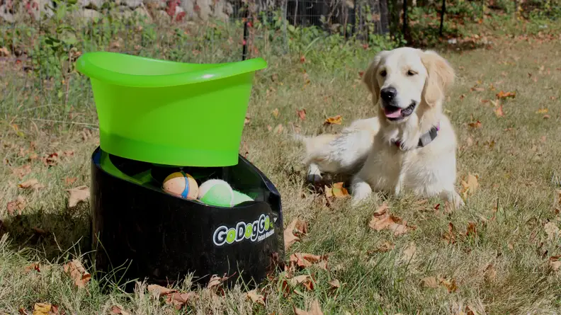 Give your arm a break with this automatic ball launcher.