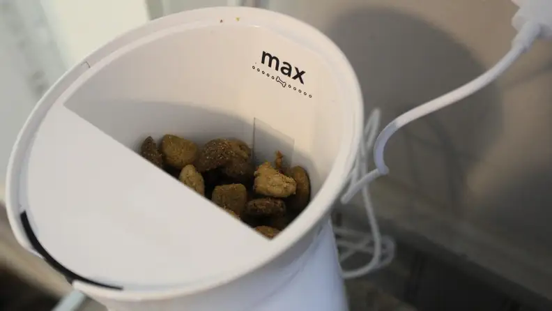 The Furbo Cam equipped with treats.