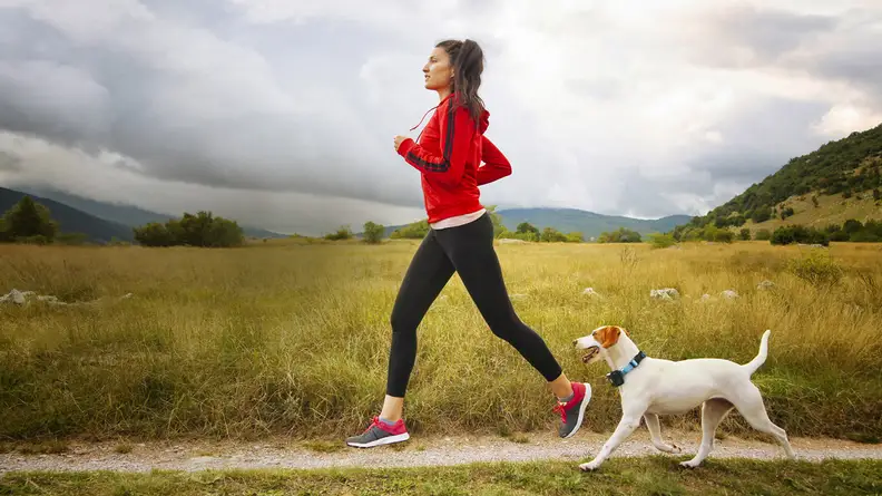A jogger takes their dog along for a run; the dog is wearing a Wagz Freedom Smart Dog Collar.