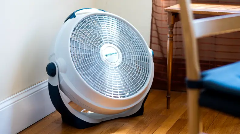 The Lasko 3300 Wind Machine, our pick for the best value