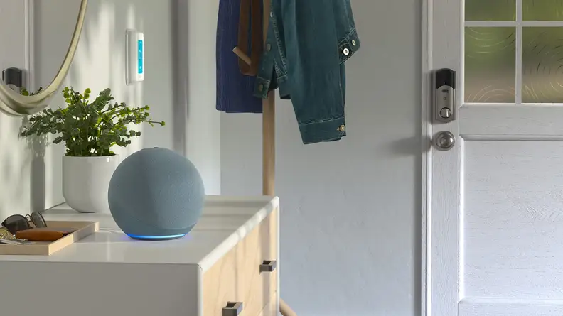 Their new home is just missing one thing: Alexa!