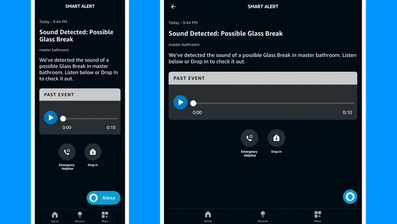 Screenshots of the Alexa Emergency Assist app warning the user about broken glass.