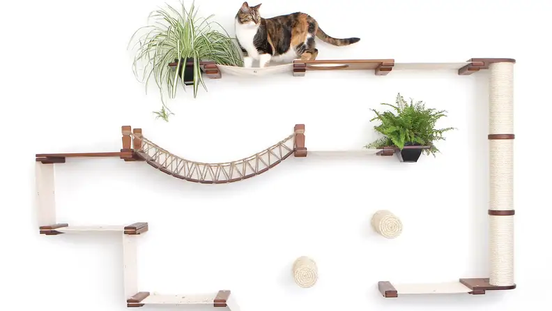 Create a crazy maze on your wall to keep your cats entertained.