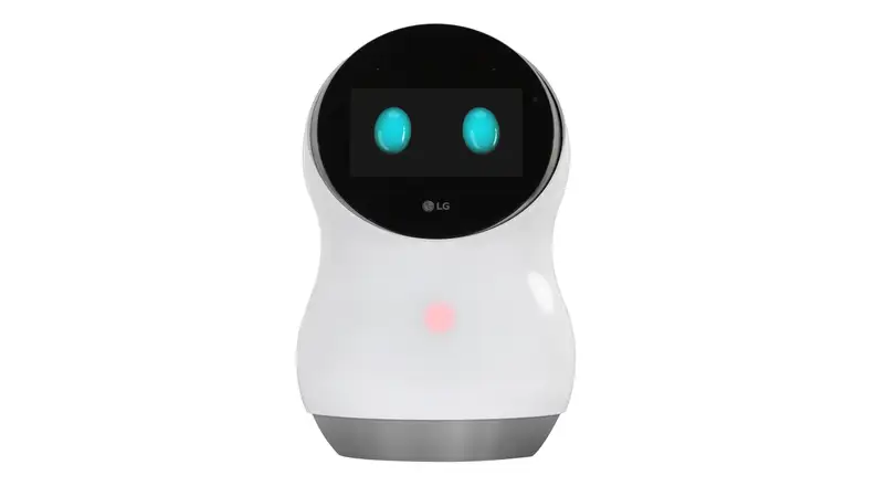 LG Hub Robot