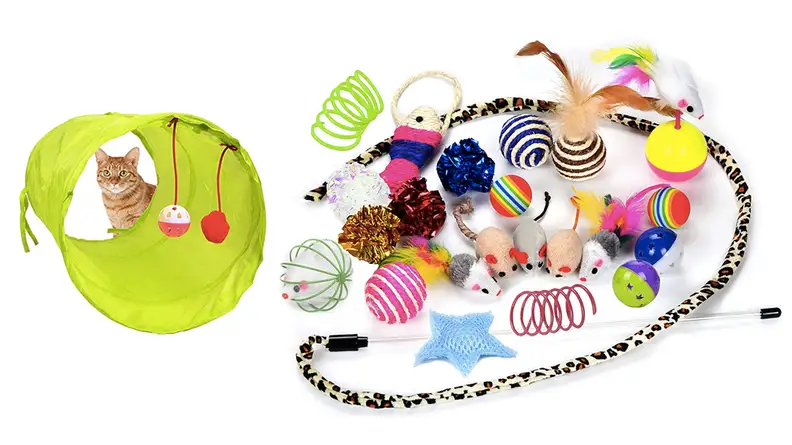 A collection of small cat toys and a cat tunnel