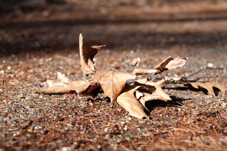 EXIF: 35mm, ISO 200, 1/800, f/2.8
