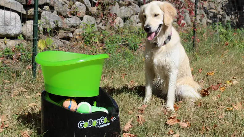 The GoDogGo Fetch Machine is cool, but it's not for everyone.