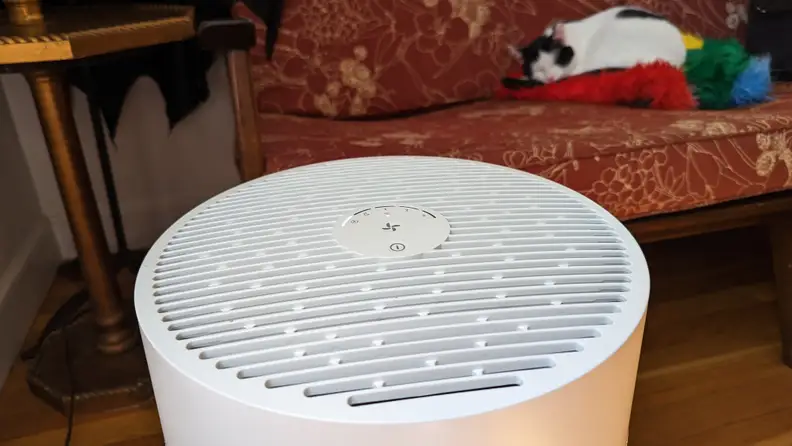 Close-up shot of the control buttons on the Blueair Blue Pure 311i Max air purifier.