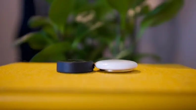 Tile's Sticker and Apple's AirTag, resting atop a yellow surface, with a green plant in the background.