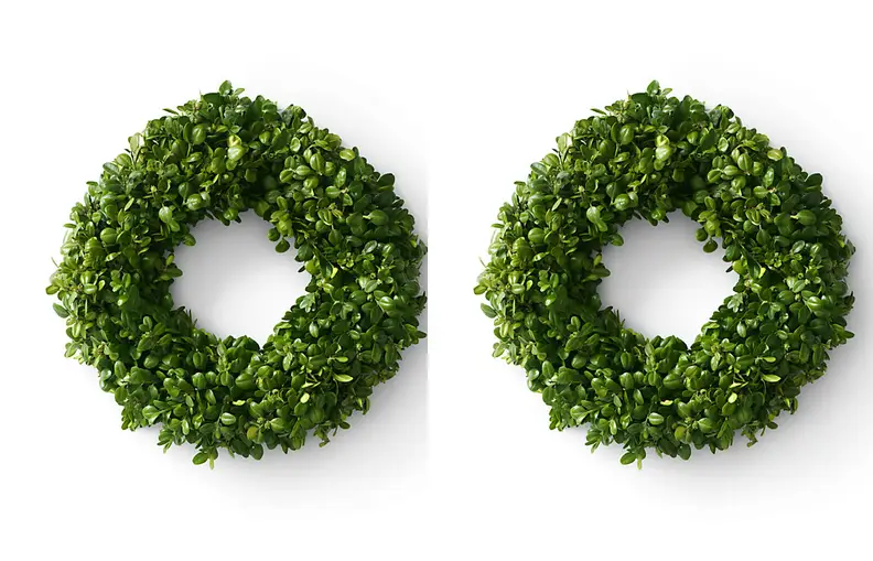 Boxwood wreath