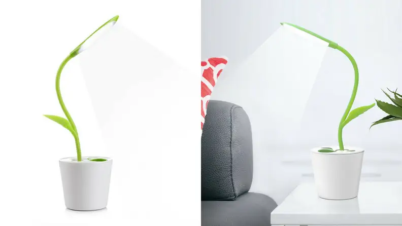 Plant lamp available on Amazon