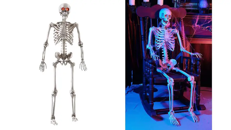 Home Accents 5 ft. Poseable Skeleton