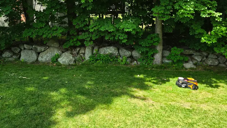 Worx Landroid WR340 robot lawn mower shown on large area of green grass in front of a wall of rocks and trees.