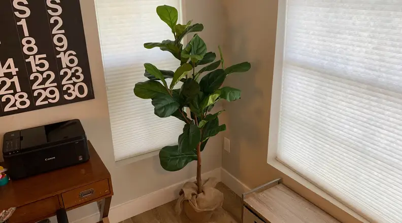 Fake fiddle leaf tree