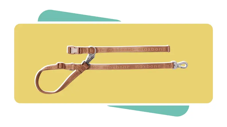 The Maxbone Go! With Ease Hands Free Leash in brown color