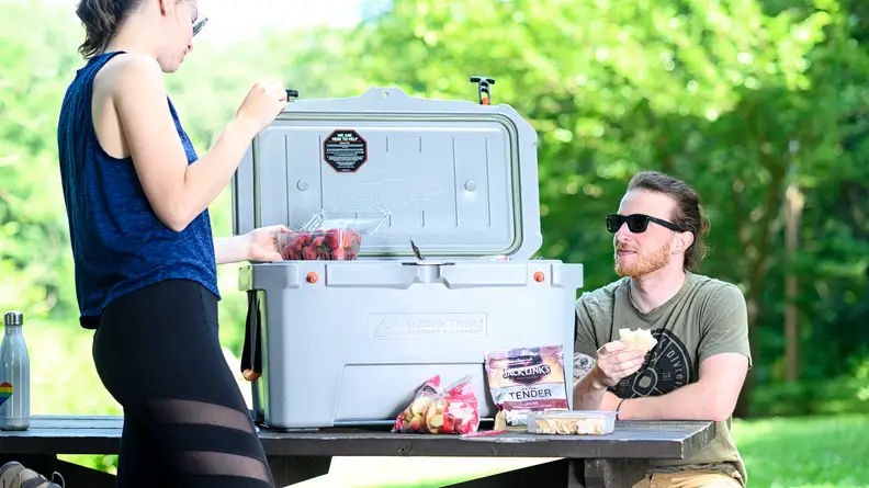 picnic