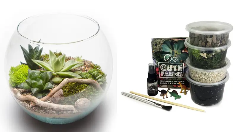 Cute Farms Terrarium Starter Kit
