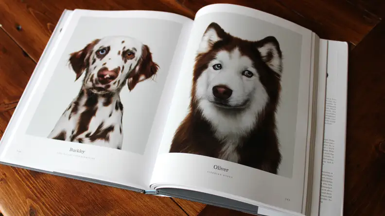 An image of the Good Dog book open to several pictures of dogs.