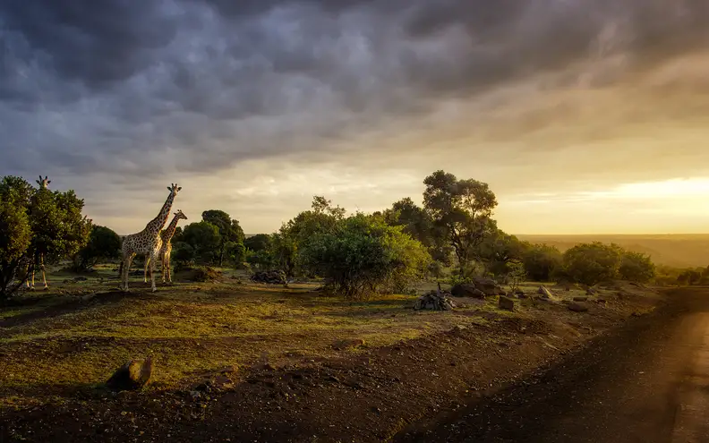 Credit: Prakash Singh, India, Shortlist, Professional Landscape, 2016 Sony World Photography Awards