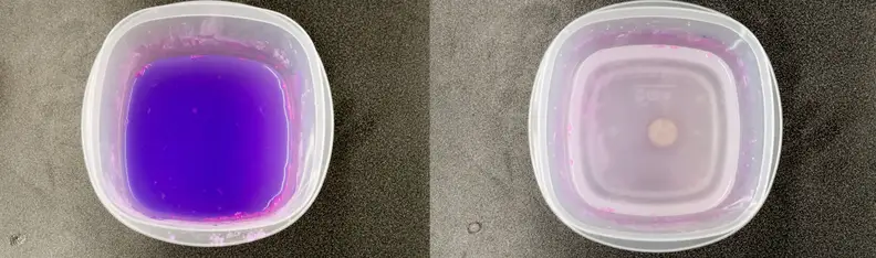 The Color Catchers absorbed the dye