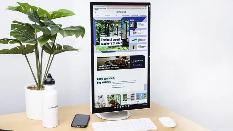 Computer sits on desk to the right of a potted plant and water bottle. The display is in portrait orientation