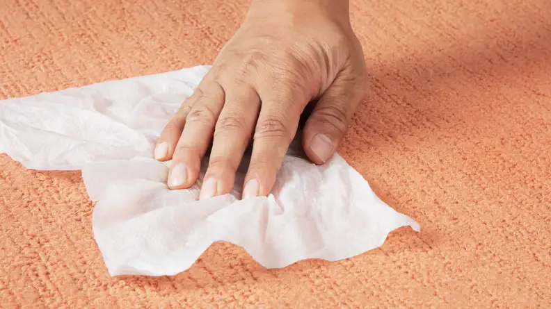 A hand wiping a wet paper towel on carpet.
