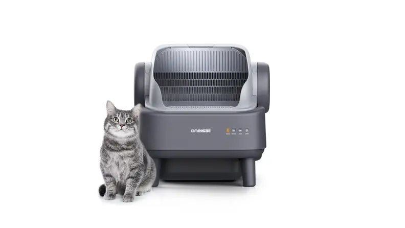A cat's litter box with a cat sitting next to it