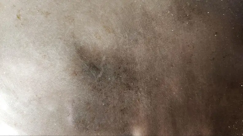 Close-up of the pan's surface.