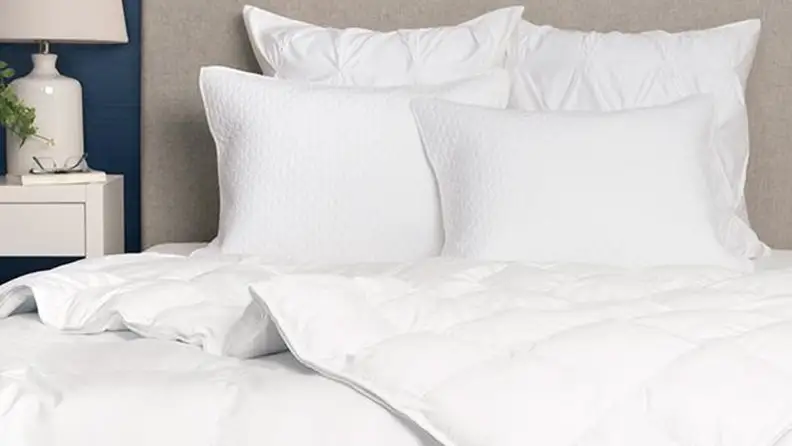 A Crane & Canopy comforter on a bed