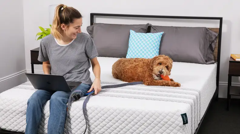A person and a dog sitting on the Leesa Sapira hybrid mattress.