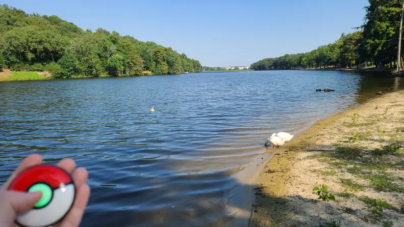 The Pokémon Go Plus + app being used outside at a lake.