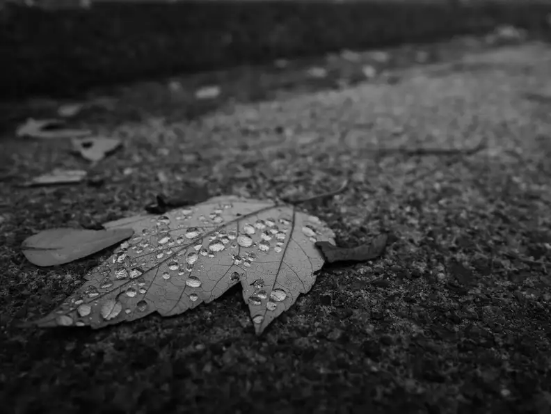 EXIF: 15mm f/4