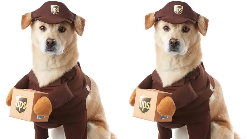 UPS pup