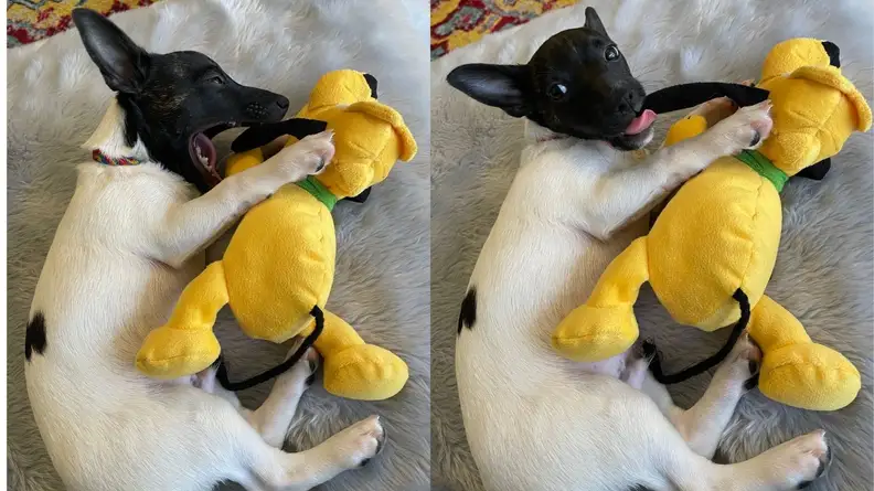 Disney Pluto Toy