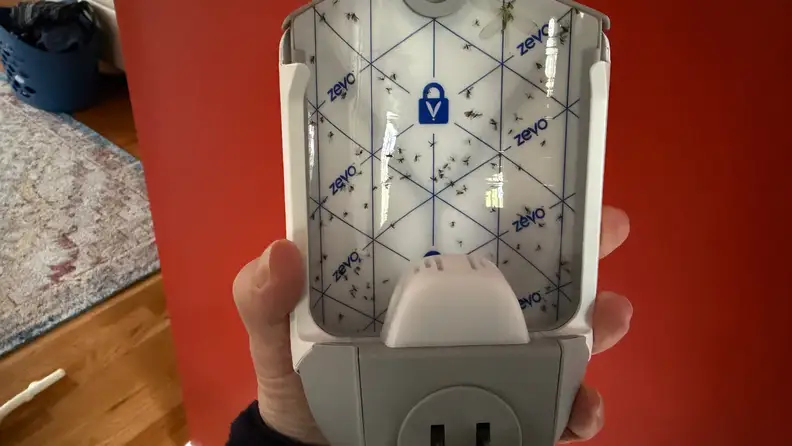 Sticky bug tape