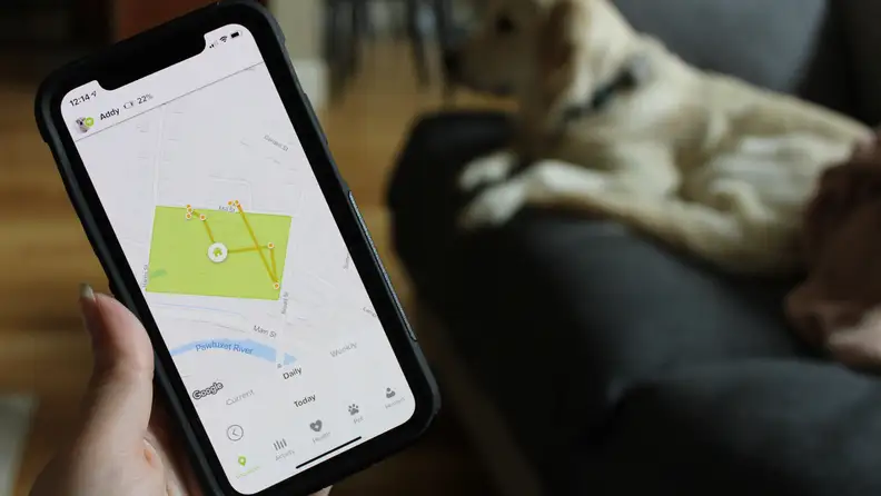 The Whistle GO serves as both an activity monitor and a GPS tracker.