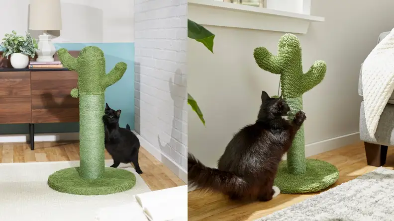 How cute is this cactus-shaped scratching post?
