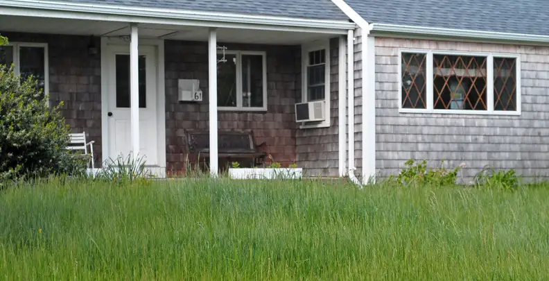 An overgrown lawn won't trouble a home appraiser. [Credit: Flickr user 