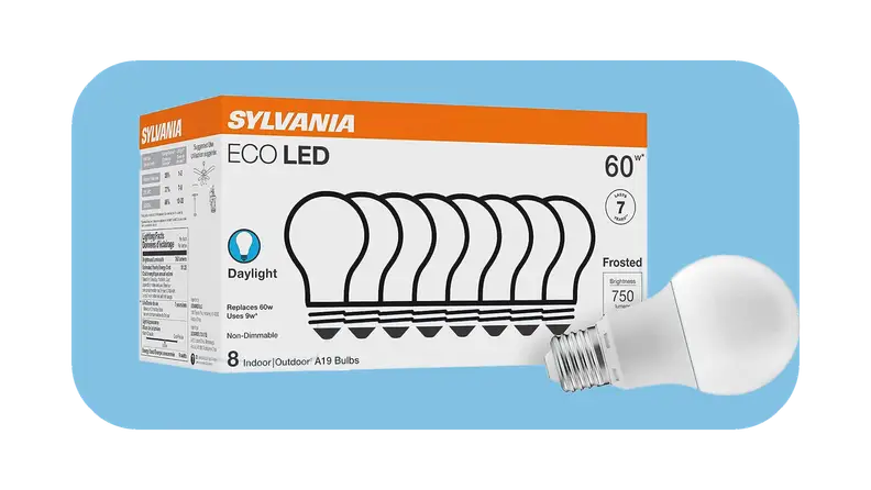 Rectangular box of light bulbs next to single light bulb.