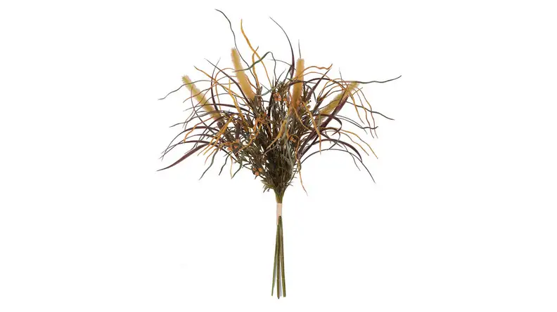 An image of a bundle of plants on a white background.