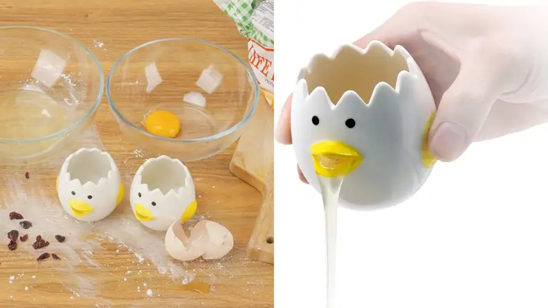 the egg yolk separator