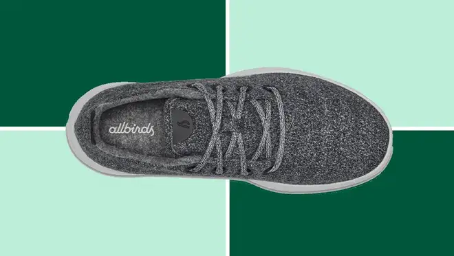 A pair of Allbirds Wool Runners on a dark and light green background.