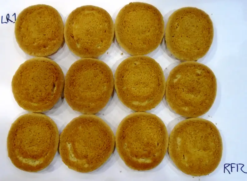 Kenmore 74033 Cookie Test Results