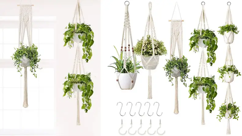 An assortment of white macrame hanging pots house plants.
