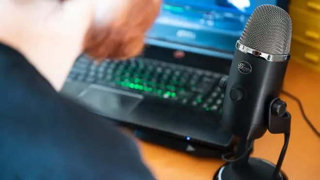 Black microphone on stand