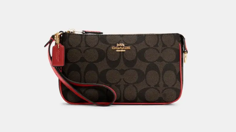 Brown, leather wristlet bag.