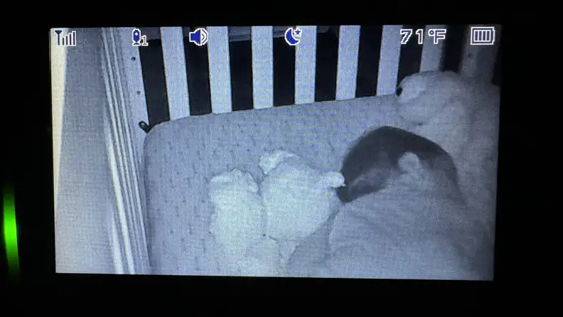 Black and white video footage of sleeping child on the screen of the Infant Optics DXR-8 Pro baby monitor.